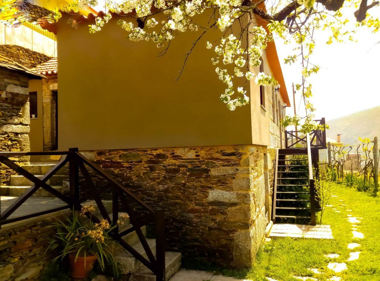 Casa Do Lonho Villa Arouca Eksteriør billede